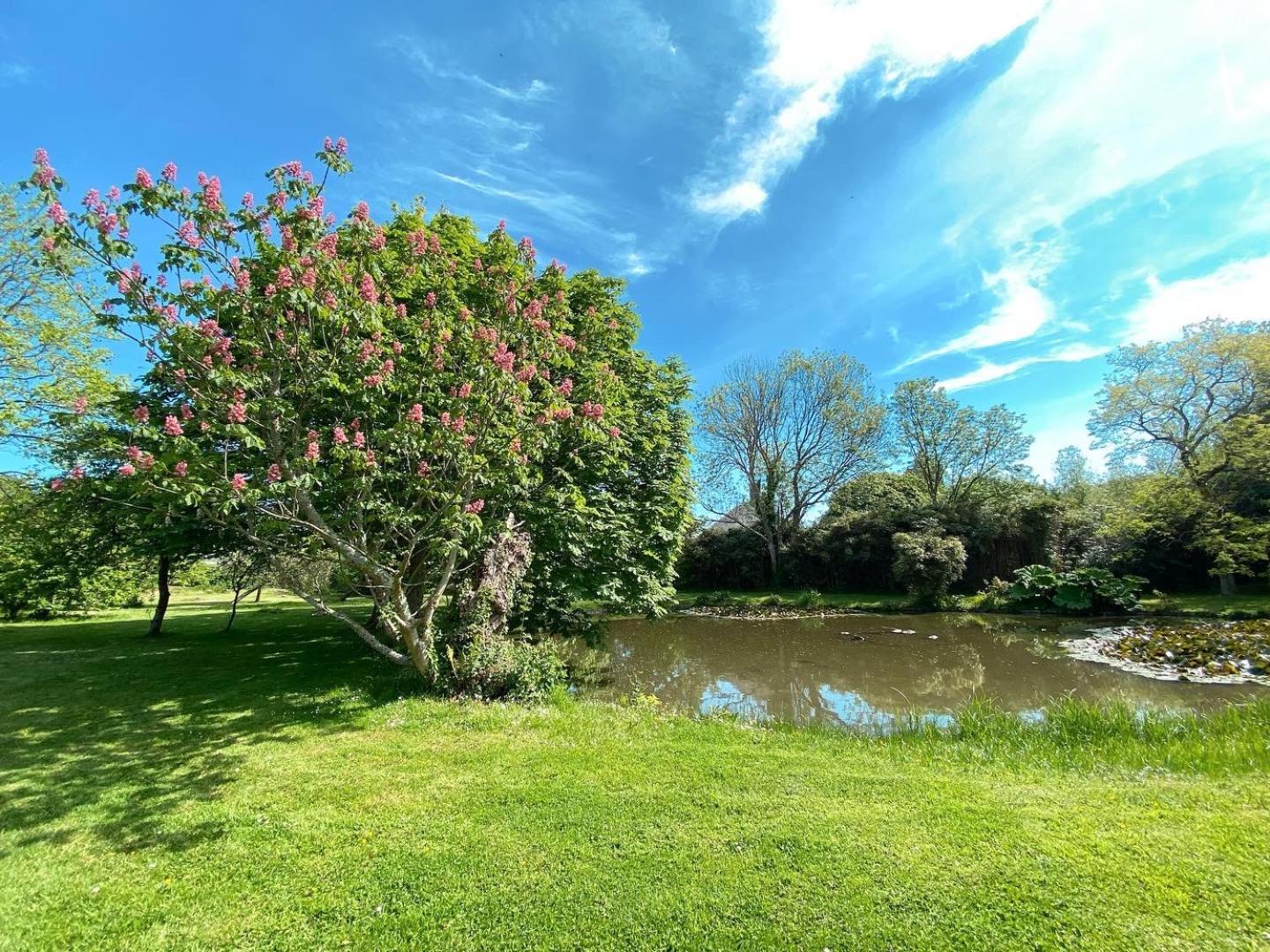 Chambres D'Hotes & Gites - Domaine Les Sources Portbail Exteriér fotografie