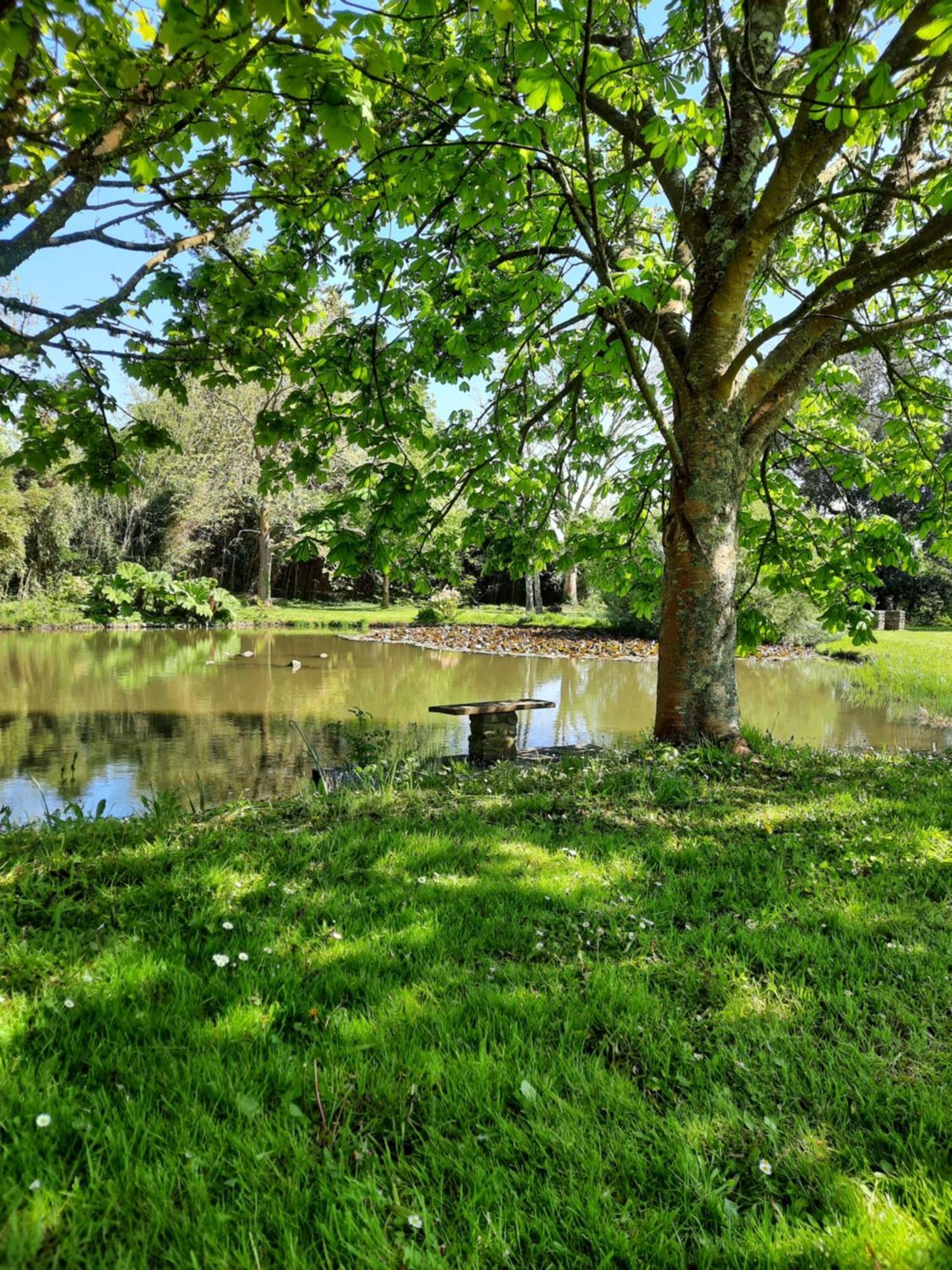 Chambres D'Hotes & Gites - Domaine Les Sources Portbail Exteriér fotografie